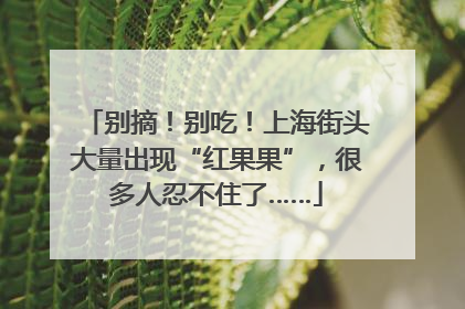 别摘！别吃！上海街头大量出现“红果果”，很多人忍不住了……